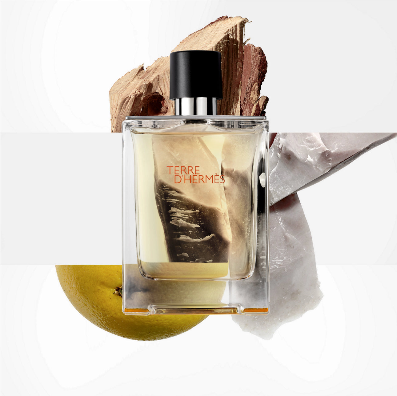 Terre d Hermes EDT 100ml