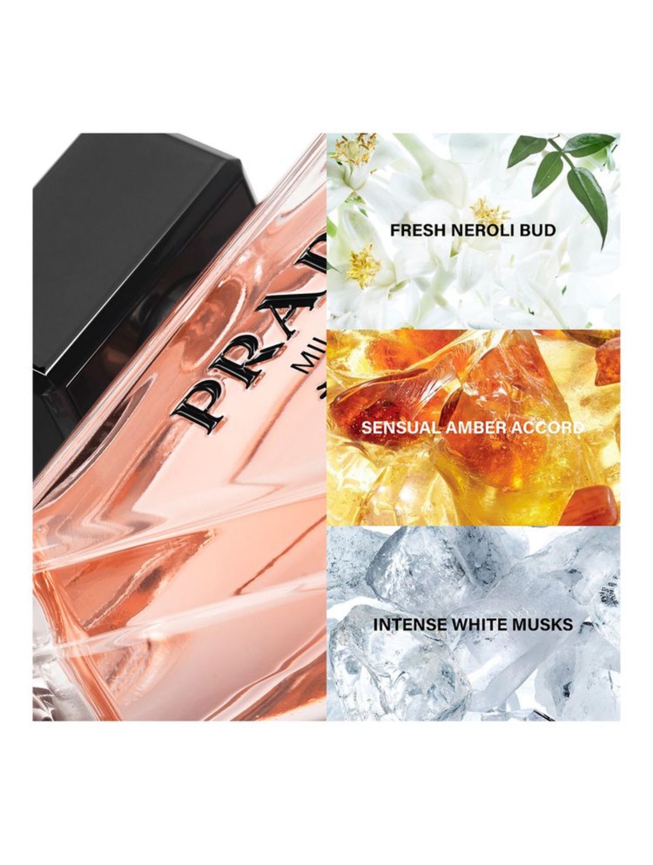 Prada Paradoxe EDP 90ml